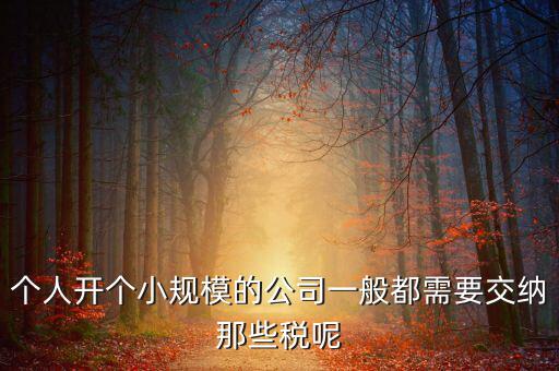 個人開辦水廠需要什么稅，自來水公司的水廠要交房產(chǎn)稅和土地使用稅嗎