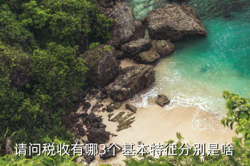 稅收具有什么特征，什么是稅收它有哪些特征