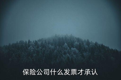 保險(xiǎn)公司要什么發(fā)票，保險(xiǎn)公司什么發(fā)票才承認(rèn)