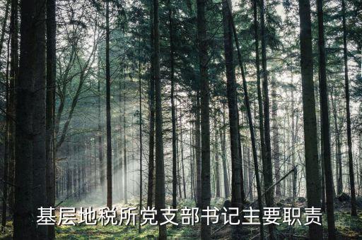 地稅所主體責(zé)任任務(wù)是什么，契稅和耕地占用稅稅務(wù)所的職責(zé)