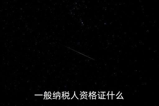納稅人資格證是什么，一般納稅人的認定資格是什么