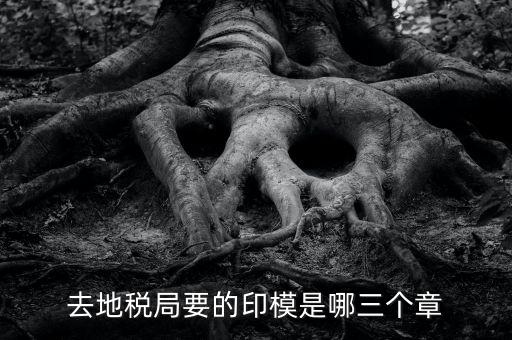 稅務局原始印模是什么東西，去地稅局要的印模是哪三個章