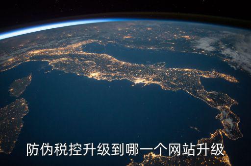 防偽稅控升級到哪一個網站升級