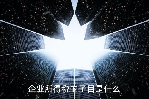企業(yè)所得稅征收品目是什么，征收品目是什么