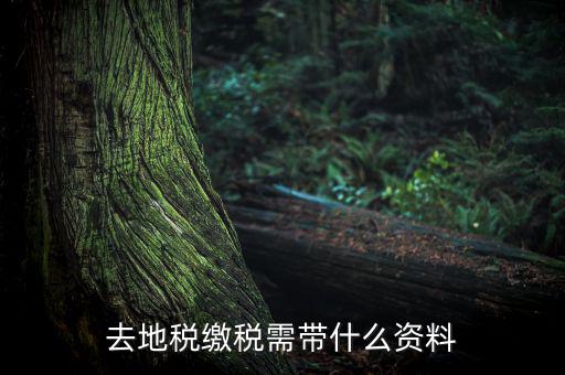 無(wú)錫地稅需要帶什么材料，去地稅繳稅需帶什么資料