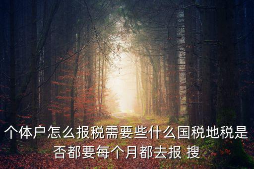 個體戶報稅都報什么，個體戶怎么報稅需要些什么國稅地稅是否都要每個月都去報 搜