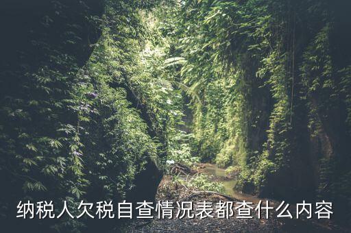 重點(diǎn)納稅人走訪情況表是什么，納稅人自查情況說明表里各項(xiàng)都填什么