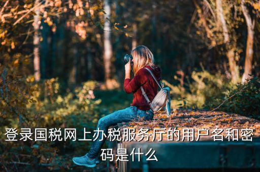 陜西電子稅務(wù)局登錄賬號是什么，登錄國稅網(wǎng)上辦稅服務(wù)廳的用戶名和密碼是什么