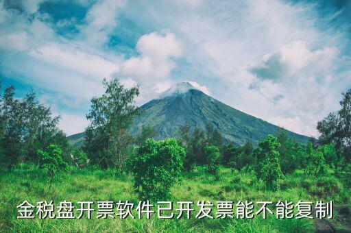什么發(fā)票能進(jìn)行復(fù)制發(fā)票操作，如何將Excel中制作的發(fā)票專業(yè)發(fā)票復(fù)制到Word文檔中并且格式