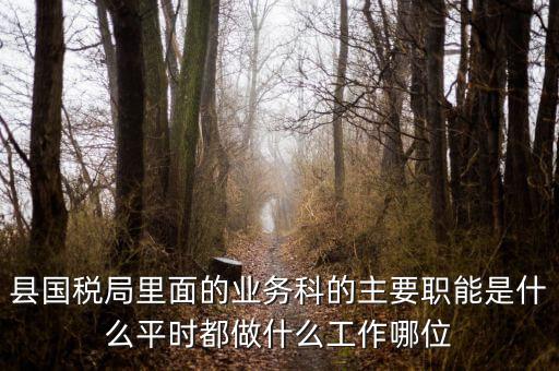 什么是稅政工作，縣國稅局里面的業(yè)務(wù)科的主要職能是什么平時都做什么工作哪位