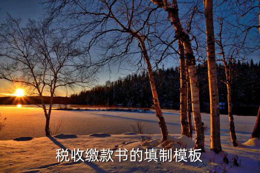稅收繳款書字軌是什么，什么是文書字軌