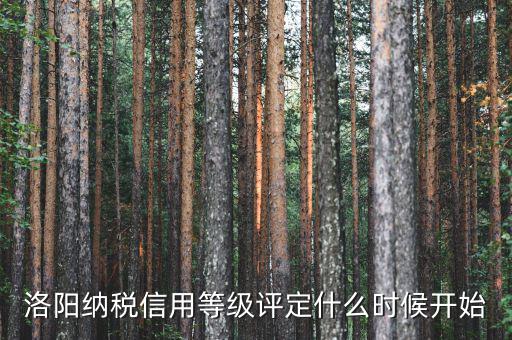 16年納稅信用什么時候評，納稅信用等級評定標準除了2003年的文件有沒有出臺新的文件呢