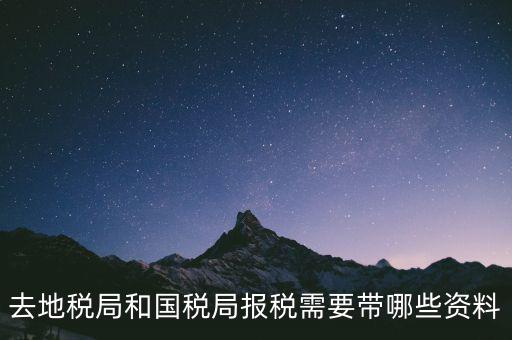到國稅報稅需要什么，去地稅局和國稅局報稅需要帶哪些資料