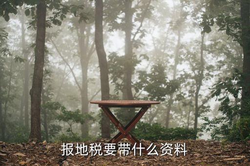 報(bào)地稅要帶什么資料，地稅報(bào)稅需要什么資料