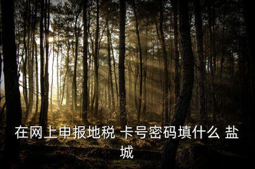 微信申報(bào)地稅的密碼是什么，地稅申報(bào)的用戶(hù)名和密碼是什么
