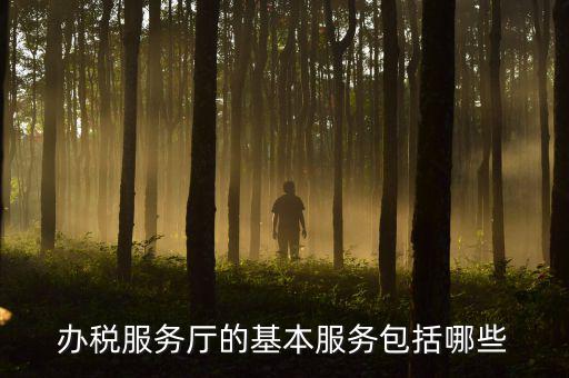 一體化辦稅服務(wù)廳是什么，辦稅服務(wù)廳的基本服務(wù)包括哪些