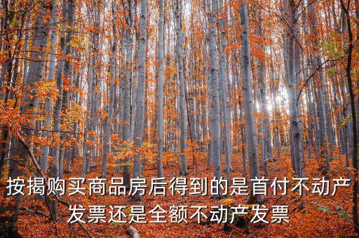 什么是全額不動(dòng)產(chǎn)發(fā)票，想問(wèn)一下購(gòu)房全額發(fā)票到底是什么的侯才開是在交房的時(shí)侯還是辦