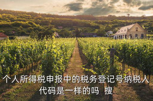 什么是個(gè)人稅務(wù)號(hào)，個(gè)人所得稅申報(bào)中的稅務(wù)登記號(hào)納稅人代碼是一樣的嗎  搜