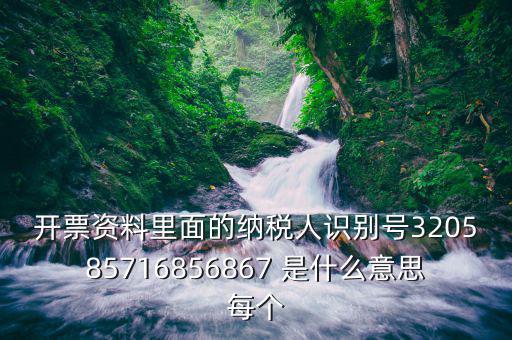納稅人稅務識別號是什么意思，納稅人識別碼是什么