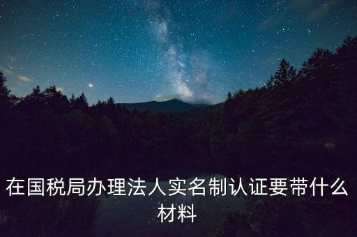 服務廳實名辦稅要帶什么，服務業(yè)辦稅務登記要些什么證件