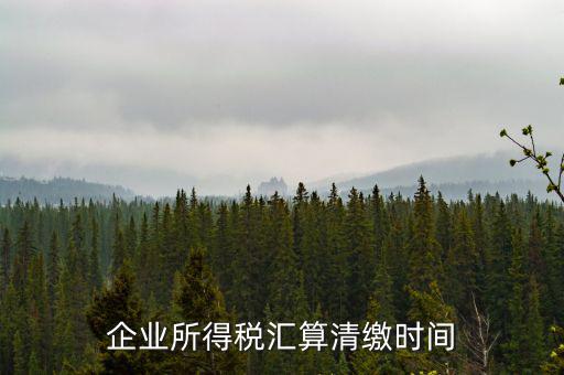 匯算清繳什么時候，個人所得稅匯算清繳的時間一定是次年的3月31日前
