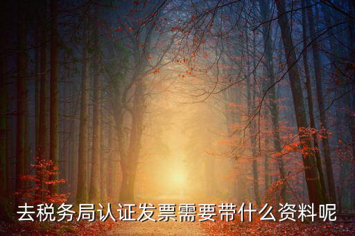 發(fā)票認(rèn)證都需要帶什么，去開票大廳認(rèn)證發(fā)票需要帶什么資料