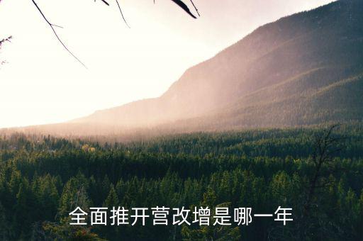 17年?duì)I改增改了什么時(shí)候，全面推開(kāi)營(yíng)改增是哪一年