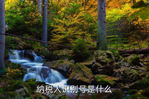 納稅人識(shí)別號是什么