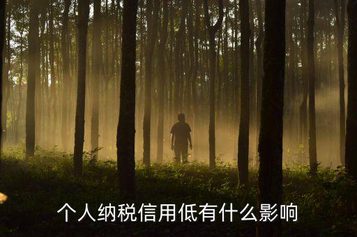 納稅信用記錄是什么，金稅三期納稅信用管理是什么意思