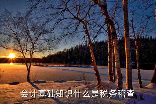 什么是稅收督察內(nèi)審工作，內(nèi)審監(jiān)察主要工作職能
