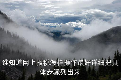 成品油消費(fèi)稅在什么系統(tǒng)申報，請教網(wǎng)上報稅步驟謝謝大家了
