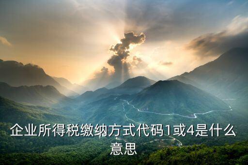 征收代碼是什么意思，工商所開的非稅收入收款收據(jù)上的代碼是什么意思