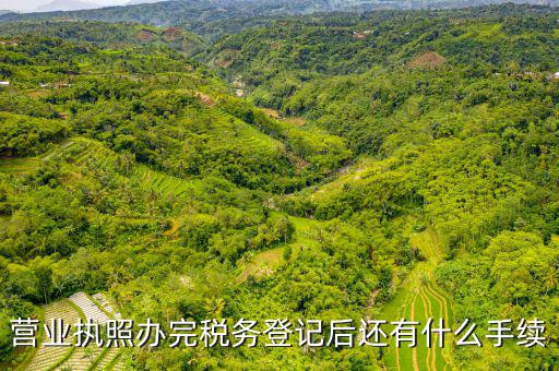 稅務(wù)登記以后需要什么，公司設(shè)立后辦理稅務(wù)登記要準(zhǔn)備哪些資料