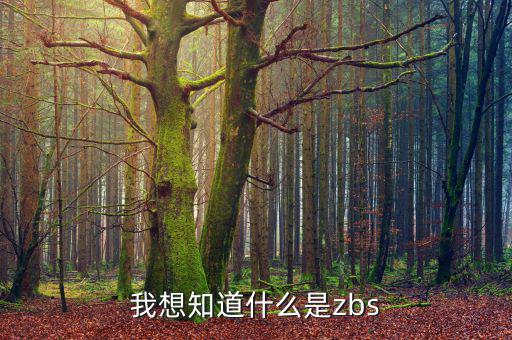什么是稽查函，稽便函是什么意思