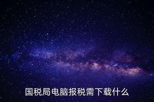國稅局電腦報(bào)稅需下載什么