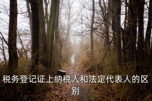 稅務登記證上納稅人和法定代表人的區(qū)別
