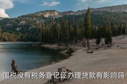 國稅未實(shí)名會影響什么，稅務(wù)未實(shí)名認(rèn)證對負(fù)責(zé)人有影響么