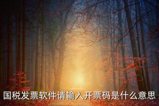 開票二維碼是什么軟件，天津國稅通用機打發(fā)票二維碼包含的內容解碼軟件