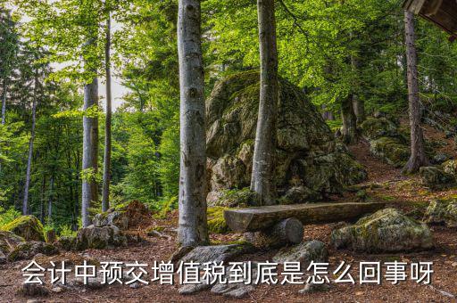 增值稅為什么要預(yù)繳，輔導(dǎo)期增購增值稅發(fā)票為什么要預(yù)繳