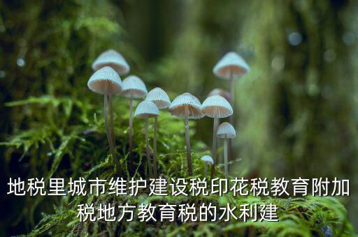 水利建設(shè)基金的計稅基礎(chǔ)是什么，計稅基礎(chǔ)是什么意思
