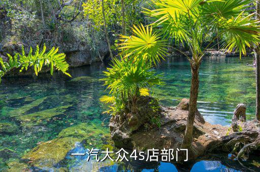 宋蘭去什么部門了，國家稅務(wù)總局的副局長宋蘭身體很豐滿