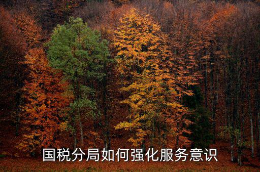 國稅分局如何強(qiáng)化服務(wù)意識