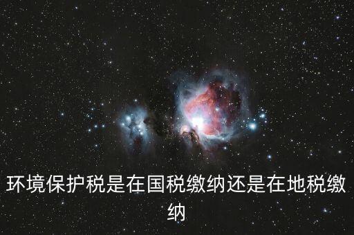 什么是環(huán)境保護稅納稅人，環(huán)境稅是什么意思