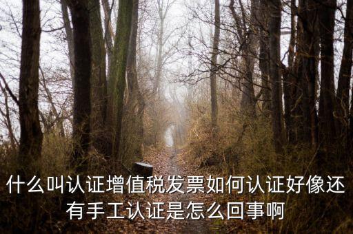 什么叫發(fā)票認(rèn)證，什么叫認(rèn)證增值稅發(fā)票如何認(rèn)證好像還有手工認(rèn)證是怎么回事啊