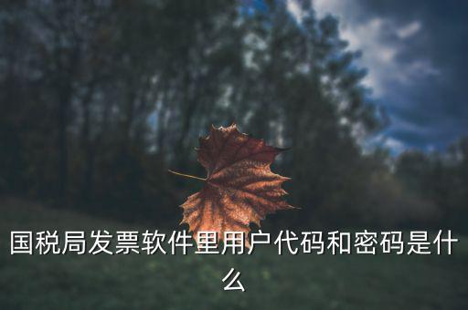 查詢發(fā)票要密碼是什么，國稅局發(fā)票軟件里用戶代碼和密碼是什么