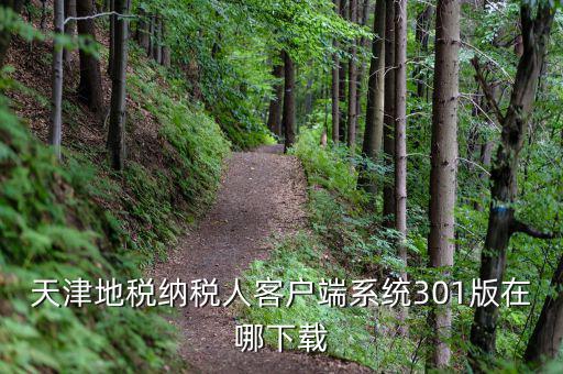 天津市地稅需下載什么，天津地稅納稅人客戶端系統(tǒng)301版在哪下載