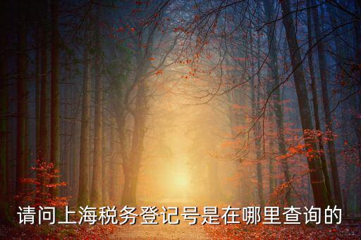 上海的稅務(wù)賬號是什么，請問上海稅務(wù)登記號是在哪里查詢的