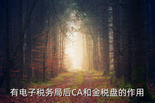 電子稅務(wù)局有什么用，有電子稅務(wù)局后CA和金稅盤(pán)的作用