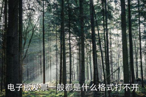 微發(fā)票助手是什么格式，exa是什么格式