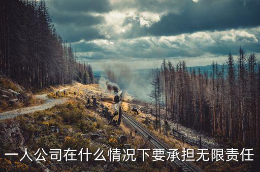 什么人承擔(dān)無限納稅義務(wù)，什么人不用納稅